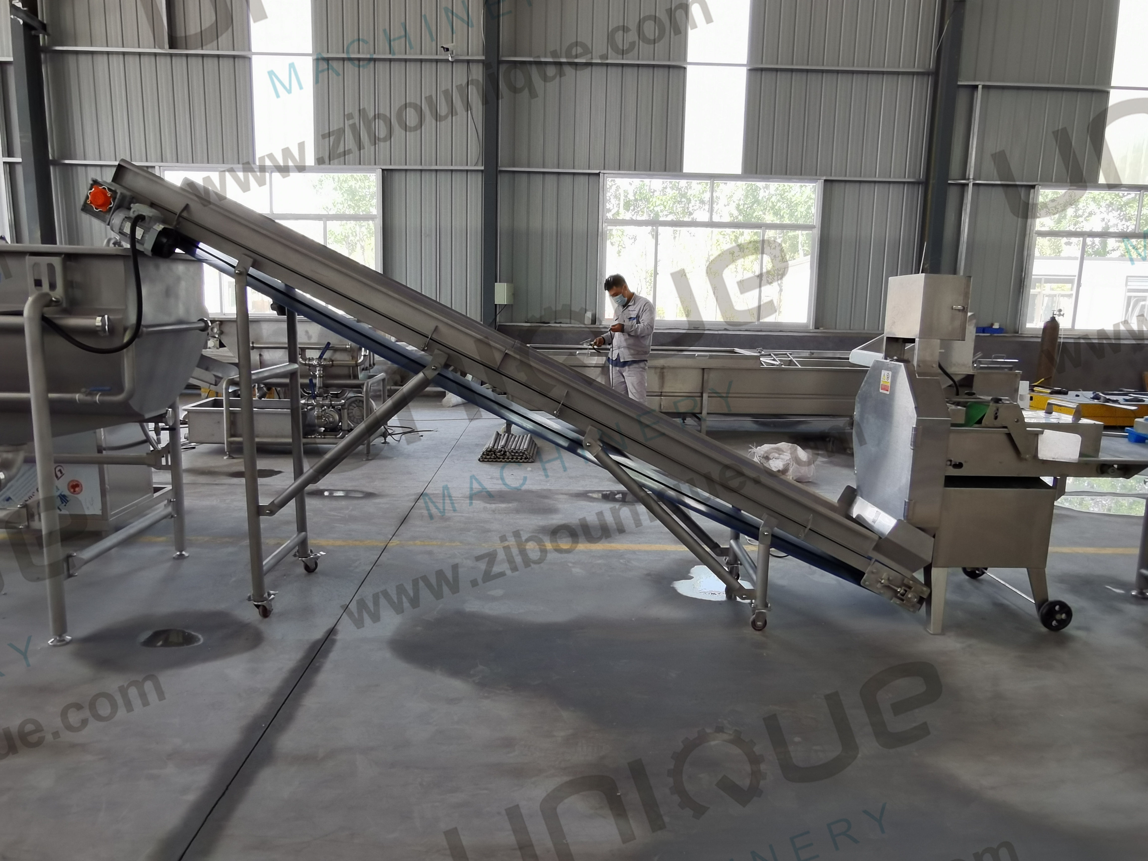 Salad Processing Made Easy Vegetable Washing Machine for Baby Spinach Lettuce Cabbage