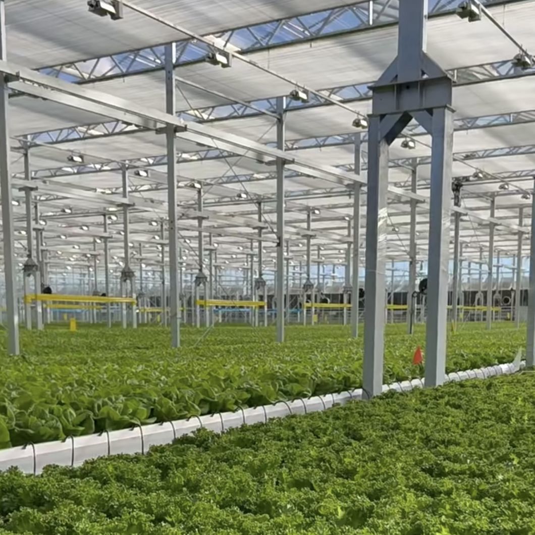 Float Single Layer Hollow Glass Greenhouse Hydroponics Growing