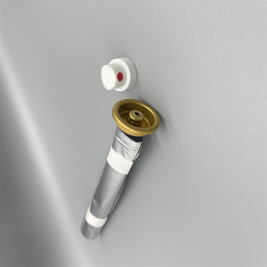 One Inch Stainless Steel Pouch Aerosol Bag On Valve For Food And Beverage Packaging Freshness Guaranteed