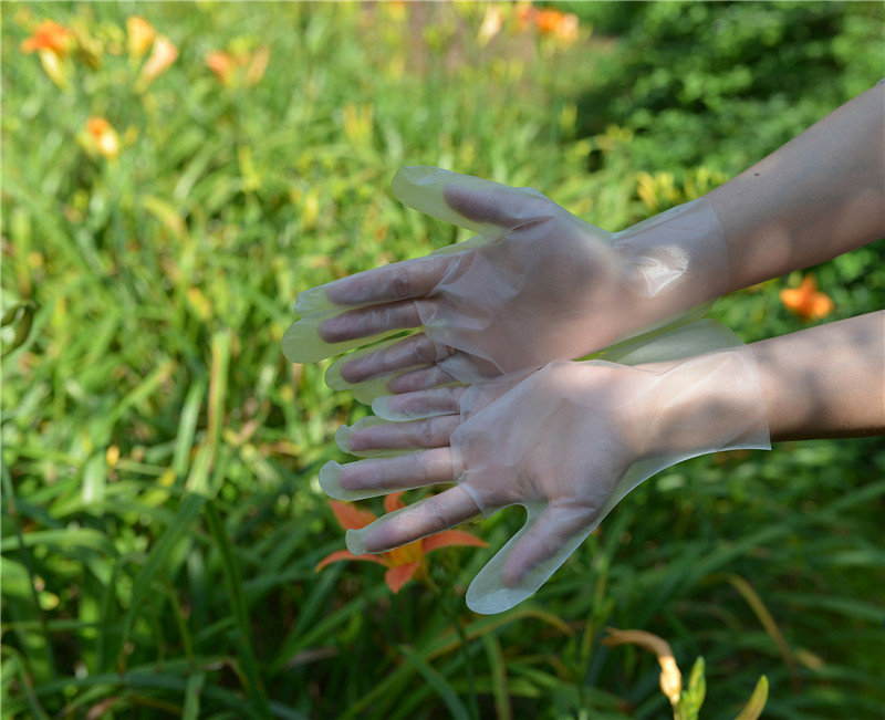 1.9g Latex Free TPE Disposable Gloves For Cleaning