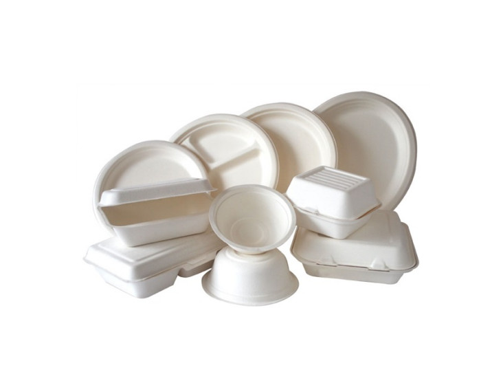 Biodegradable Pulp Molded Dish Making Machine