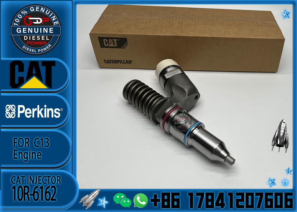 Factory Direct Supply Common Rail Injector 249-0709 294-3002 294-3002 10R-6162 2490709 2943002