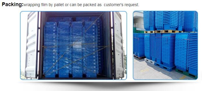 Cheap price 12 bottles plastic beer wine bottle crate, Vegetable and fruits plastic crate for store food, plastic crates