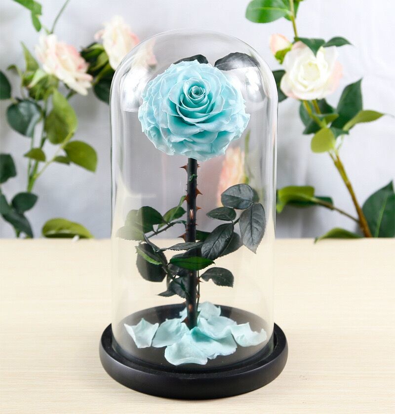 OEM Perfect Valentines Day Gifts Multiple Colours Preserved Everlasting Real Rose Flower in Glass Dome