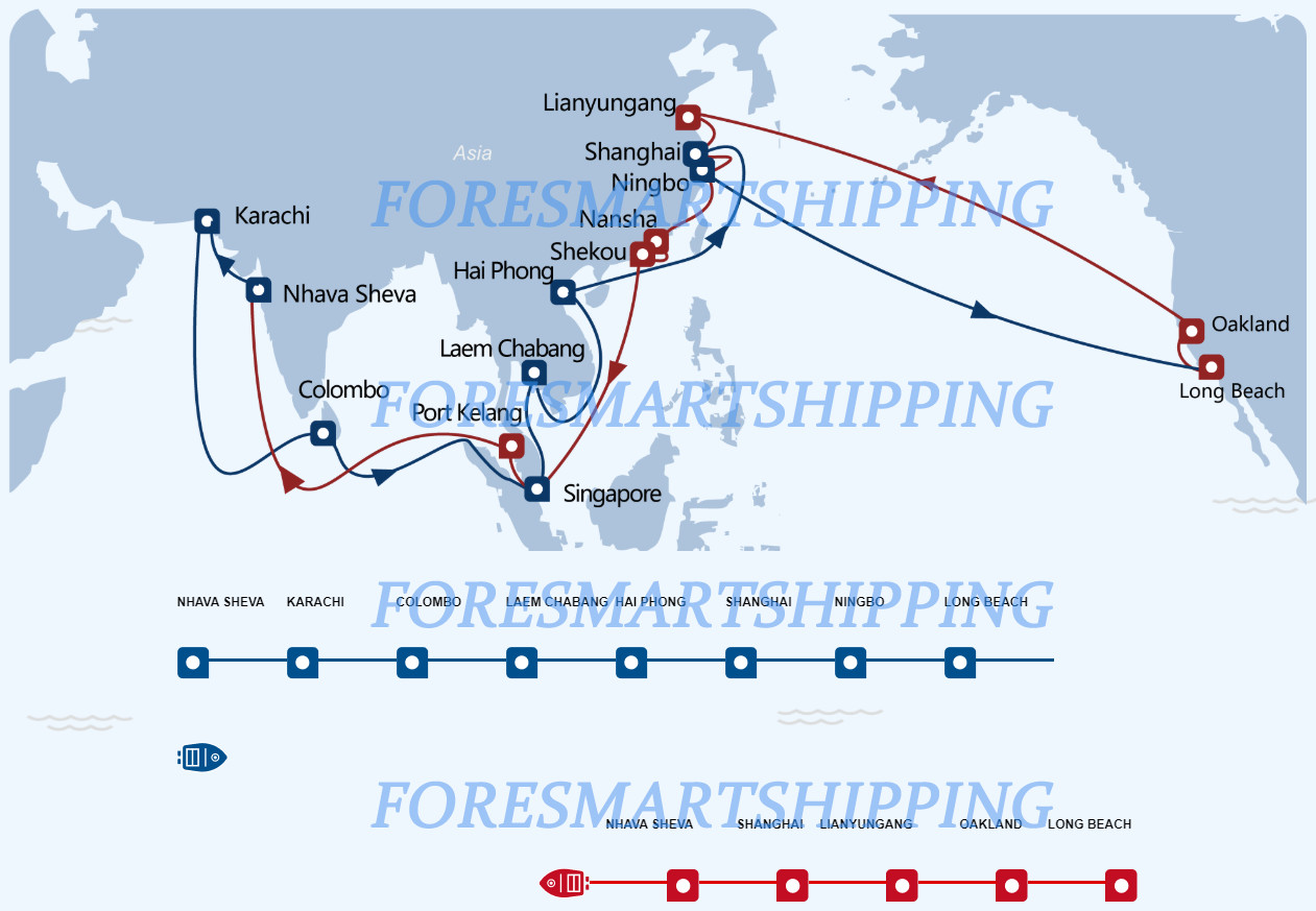 20FT 40FT 40HQ LCL Sea Freight Shipping To USA From China