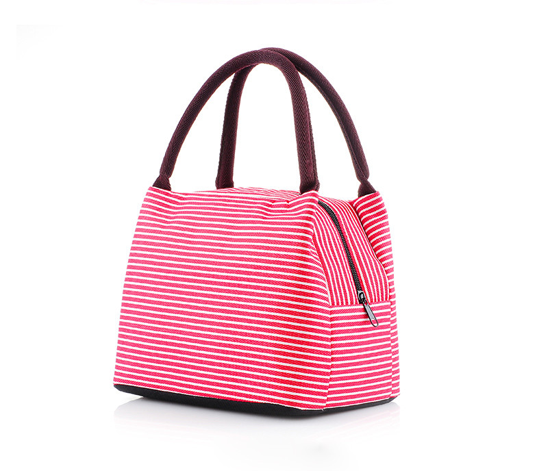 Reusable Aluminum Lining Insulated Cooler Bags