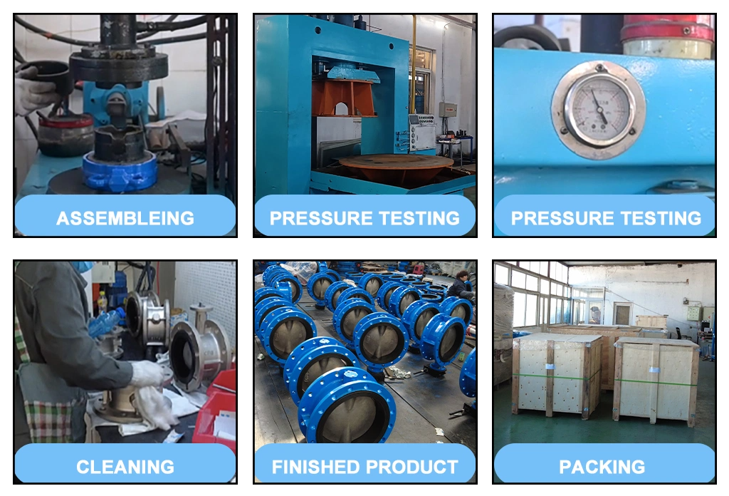Medium Temperature DN100 Pn16 Asin Cast Iron Rubber Flapper Check Valve for OEM Support