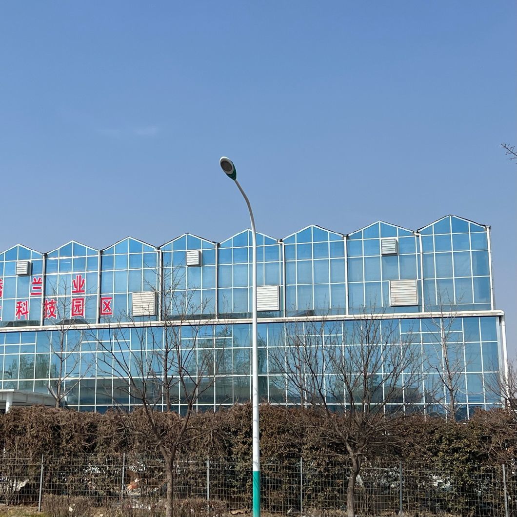Venlo Style Glass Agricultural Greenhouse with Automatic Control System