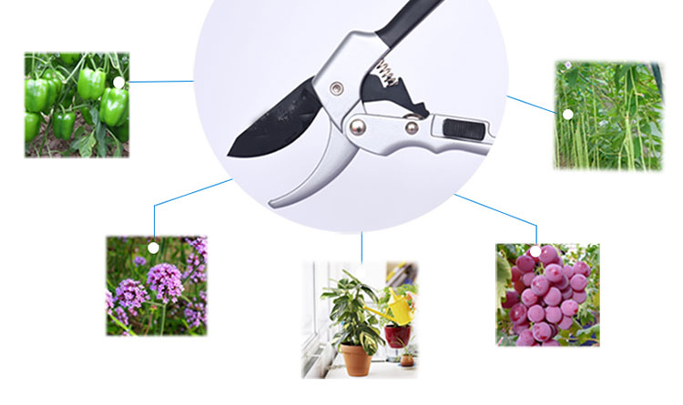 Anti Slip Grip Sk5 Carbon Steel Plant Garden Pruning Scissors Flower Pruning Shears