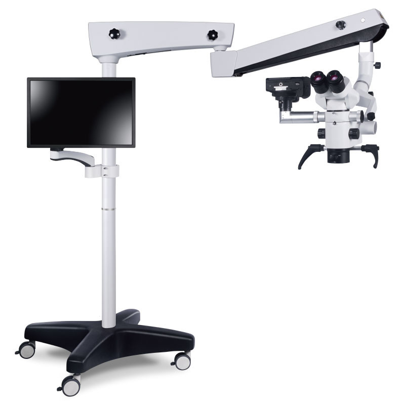 100V-240V Dental Surgical Microscope Removable For Endodontics