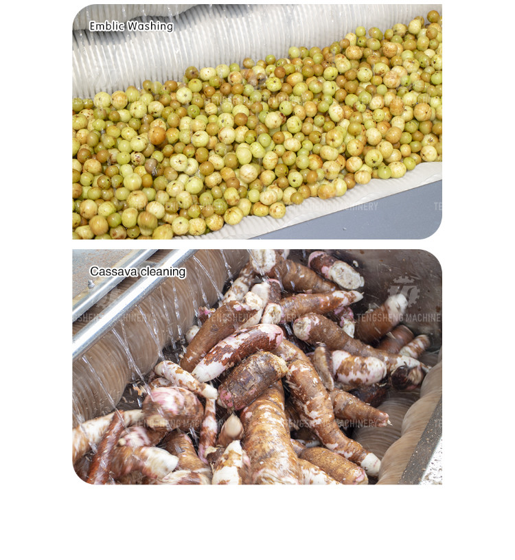 Factory direct with standard multi-functional fruit washing machine medium-sized lotus root washing radish machine