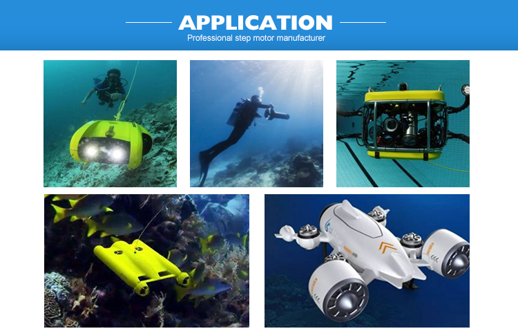 Continuously Variable Speed 24V Underwater Brushless DC Motor