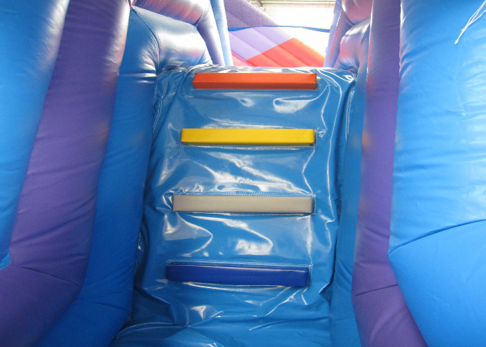 Classic inflatable pirate themed combo 5 in 1 inflatable bouncy castle pirate multi inflatable jump house