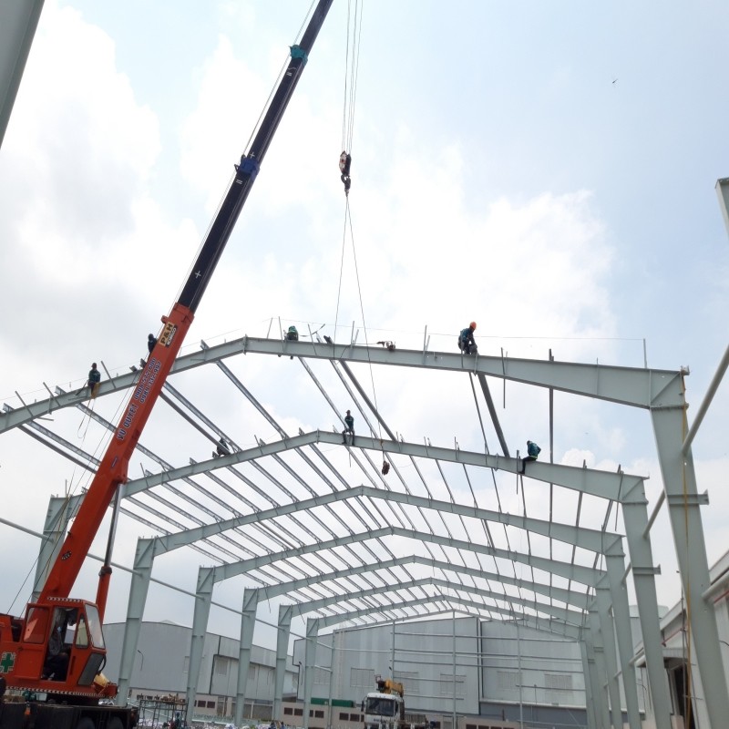 Industrial Galvanized Or Painted Carbon Steel Structural Buildings