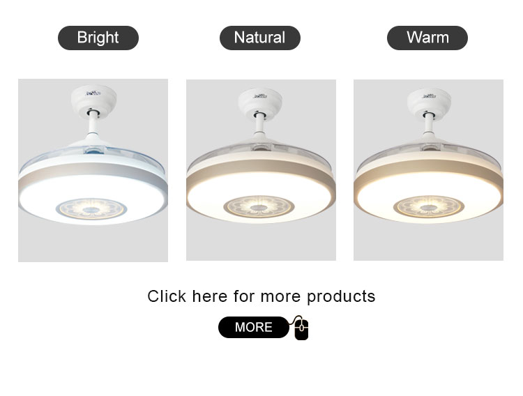Invisible Design LED Ceiling Fan with Smart Night Light and DC Motor 3000K/4500K/6000K