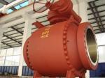 Trunnion Mounted Ball Valves