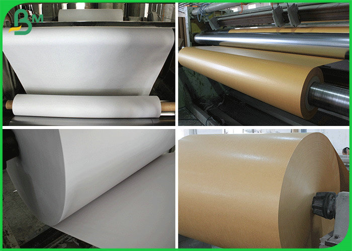 24 inches 36 inches Plotter Paper Reel for Garments Industry Wide Format Printer