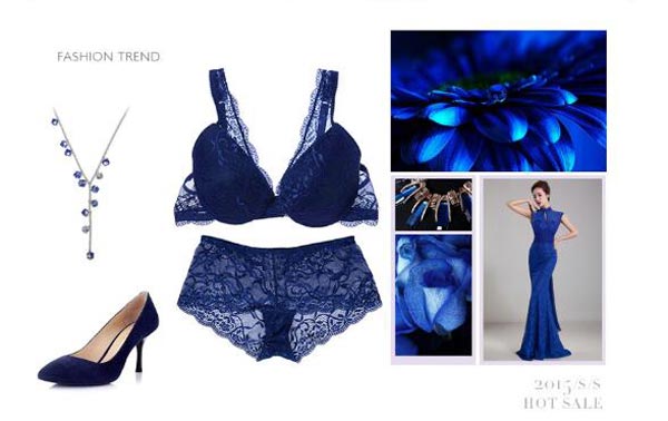 lace bra and brief