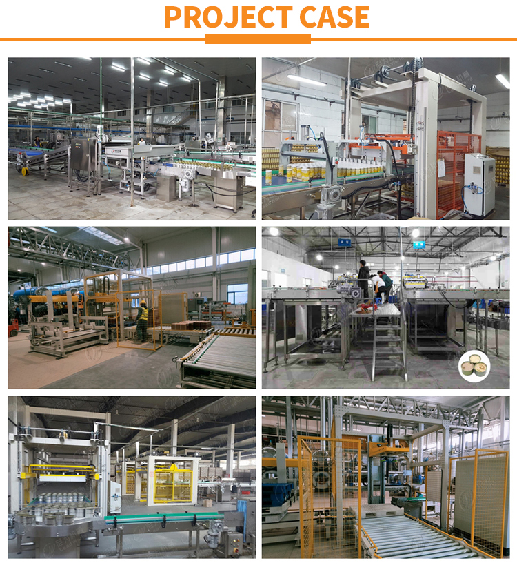 Automatic Gantry Case Palletizer Machine Tray Barrel Case Carton Bag Packing Palletizer