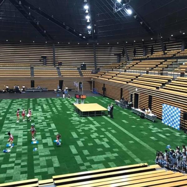 45mm Height Synthetic Artificial Grass For Soccer Football Sport Court SGS