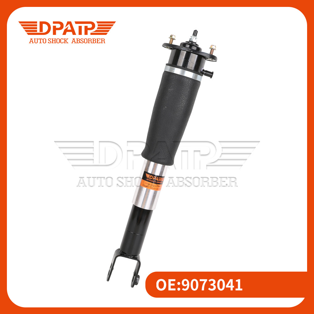 Rear Right Car Shock Absorber 9073041 Cadillac SLS Automotive Spare Parts