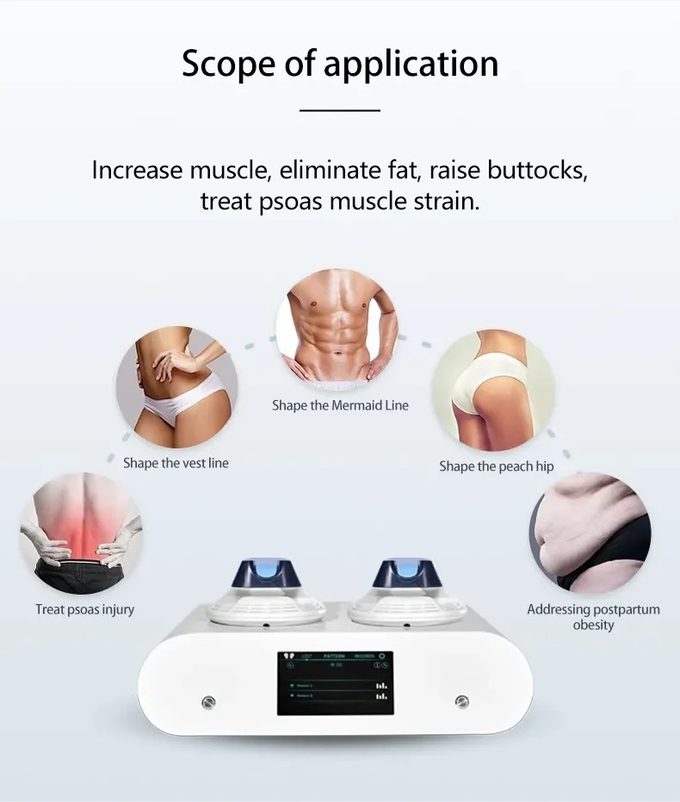 2 Handles Home Use Ems Sclupt Weight Loss Hi Emt Neo Muscle Stimulate Machine