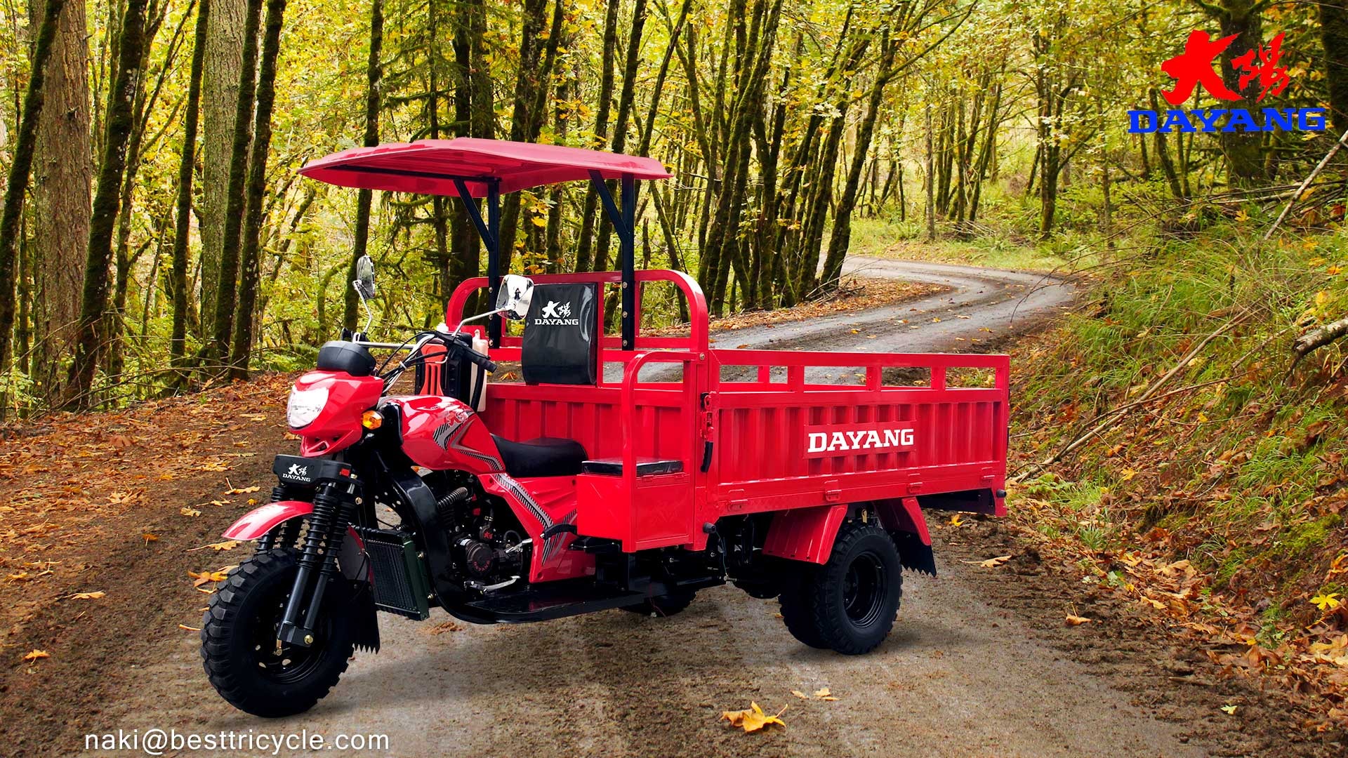 Unleash the Power of DAYANG DY-H8 250cc/300cc/350cc Tricycle in Africa with 12V Engine
