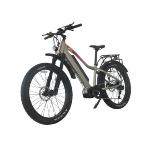 E Bike 26 Inch 48v 1000w Electric Bike 26 Inch Wheel Electric Bicycle Strong Off