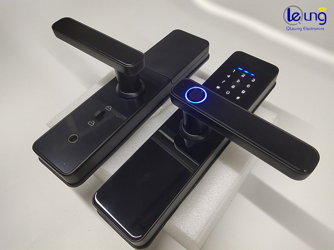 Biometric Fingerprint Wifi Lock Tuya Zigbee TTlock Smart Digital Door lock