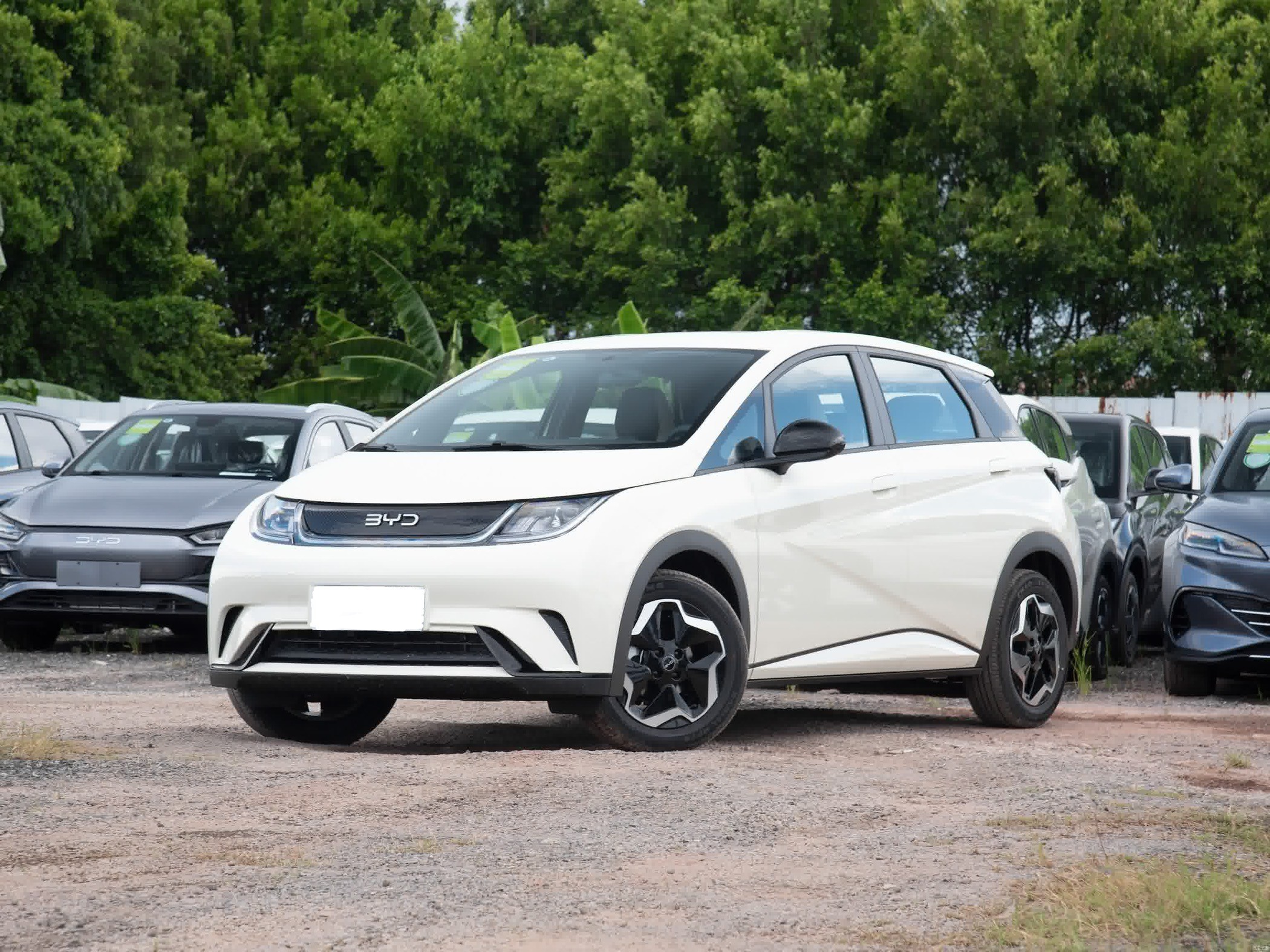 BYD Dolphin 2025 Model 420 Kilometer Pure Electric Edition 5 Doors 5 Seats 4 Speakers Popular Car