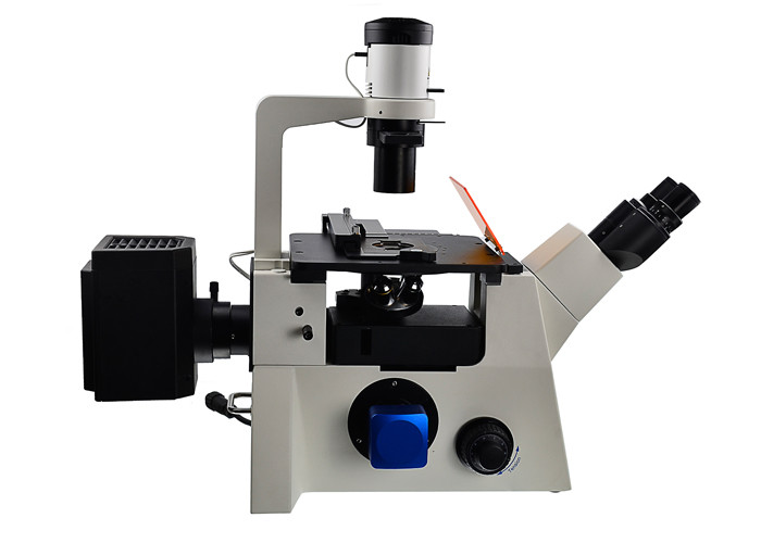 DSY5000X Inverted Optical Microscope B/G/ V/UV Filter Upright And Inverted Microscope