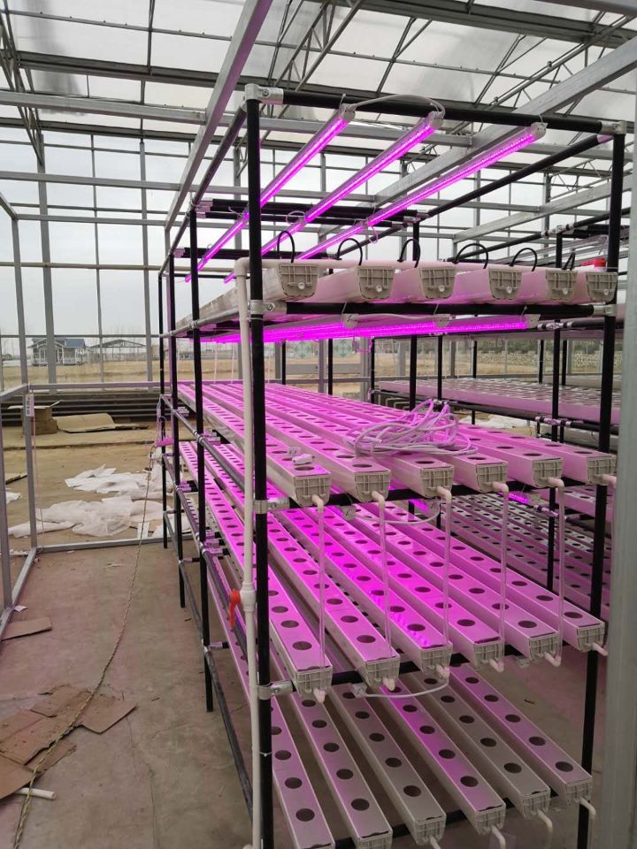 Vertical Farming Plant NFT Hydroponic Smart Garden White 110V/220VAC