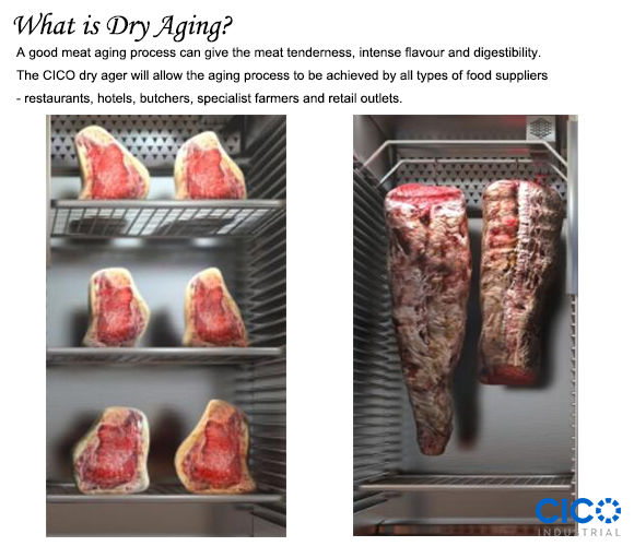Integrated Electric Dry Age Meat Fridge Dry Age Display Dry Aging Cabinet Single Glass Door