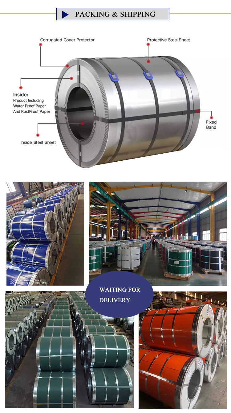 PPGI Color Coated Coils and Galvanized Color Coated Coils with Mid Hardness Width 600-1250MM Manufactured by Factories