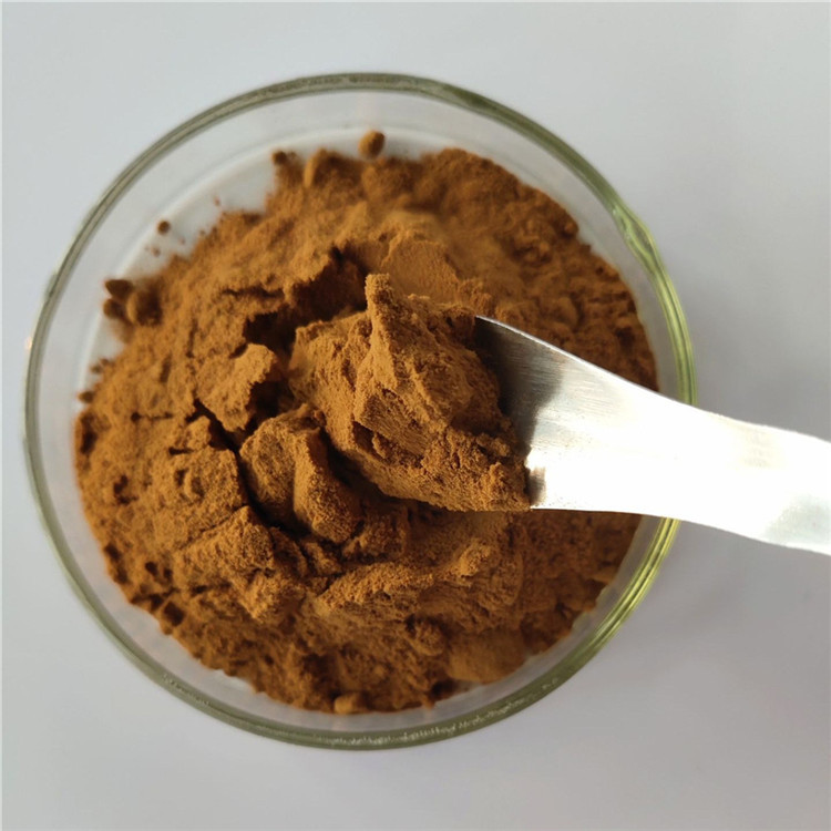 Pharmaceutical Grade Cornus Extract In Bulk