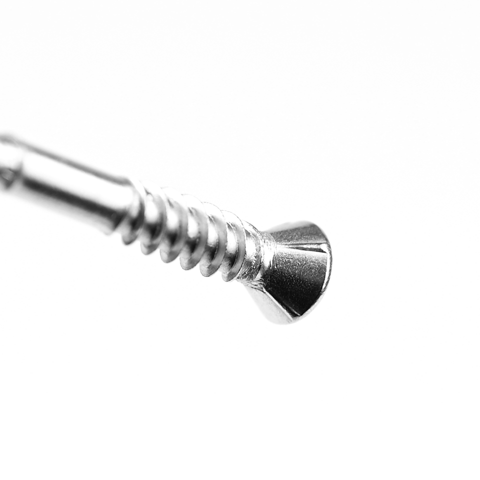 10x65mm Drywall Screws with Exquisite Workmanship Stainsteel Steel and 100% QC Tested