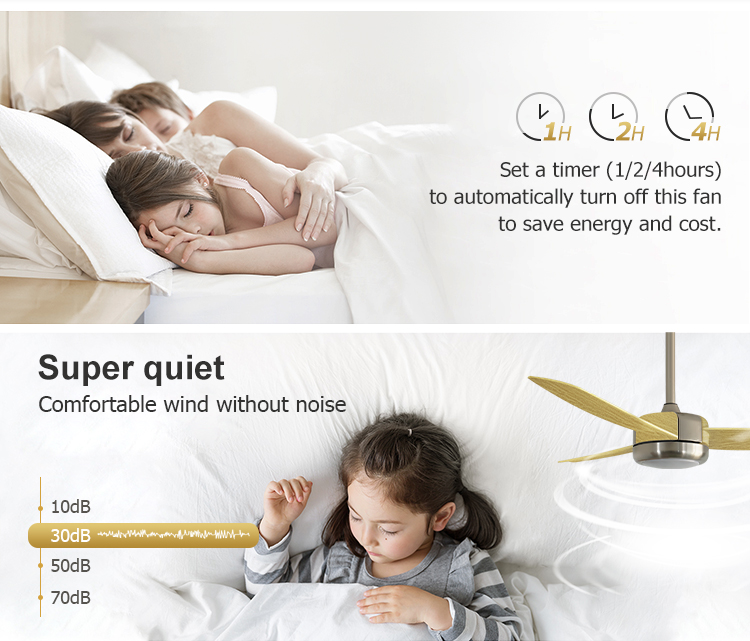 Plastic Blades LED Ceiling Fan with Light and Remote Pure Copper Motor Energy Saving 10