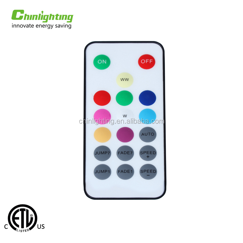 HolidayVintage Season RGB Festival Party Wedding waterproof led string light with dimmer Remote controller multi-lighting modes