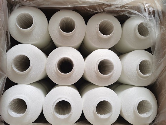 Dyed Colors High Tenacity Nylon Yarn Raw White 150D/3 OEKO certificate