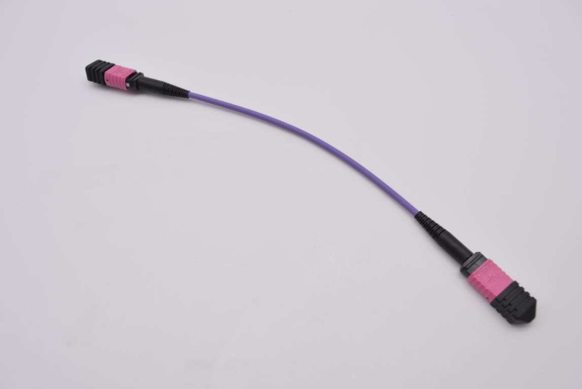 MTP to MTP patch cable,mtp to mtp cable with mtp apc connector 12 24 strand fo patch cord, data center solution provider