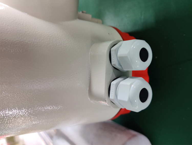Europe Standard Dn1200 Electromagnetic Flow Sensor Flowmeter Converter
