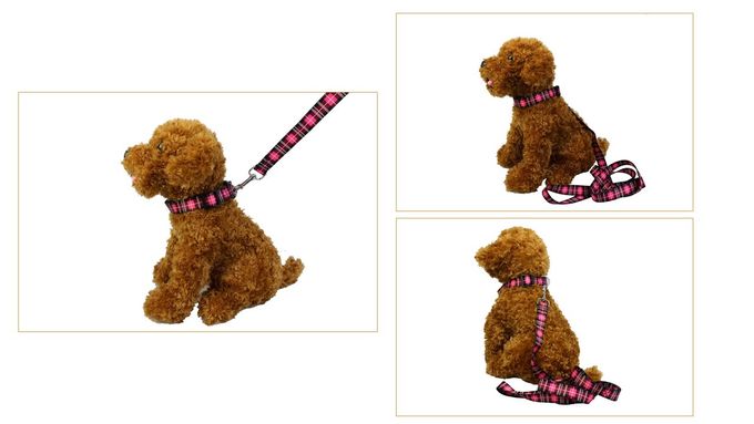 Bright Dog Lead And Collar Set Adjustable 30-48cm Buckledown Dog Collars