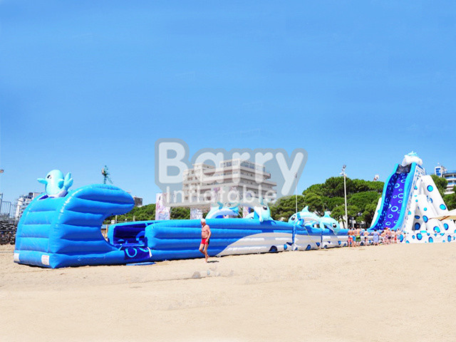 Blue Animal Giant Dolphin Inflatable Water Slide Adult Size Huge Inflatable Slides
