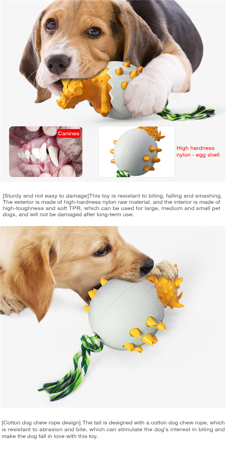 Most Popular High Quality Bite-resistant Star Pet Dog Cooling Pet Training Clean Teeth Chew Dog Toy