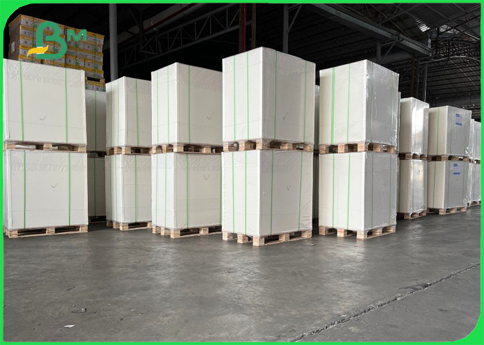 PE coated white lunch box paper
