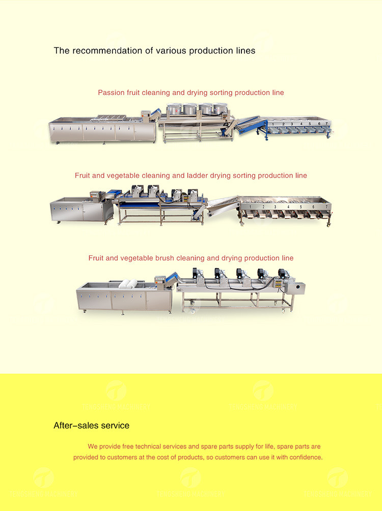 Meat Vegetable Fruit Sorting Table Food Machine SS304 Z Type Structure