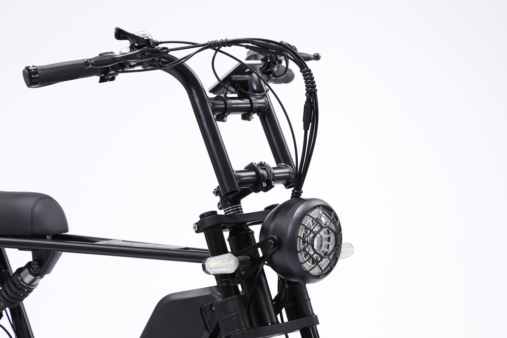 48V 750W Motor Electric Hybrid Bike Full Suspension 20 Inch Fat Tire Ebike 17Ah Battery