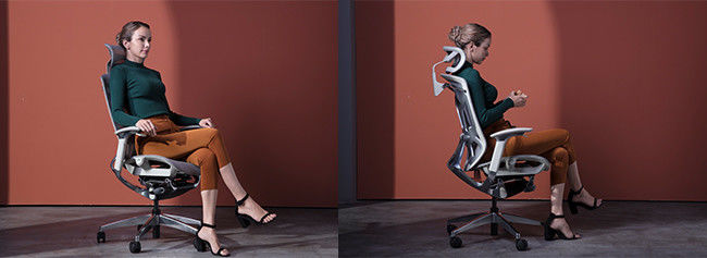 Dvary Middle Back Ergonomic Chair Lumbar Support Adjustable Swivel Office Chairs 4