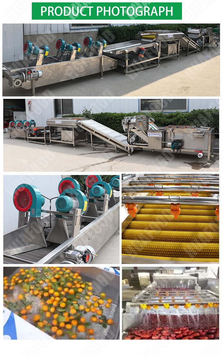500kg / H AutomaticFruit And Vegetable Processing Line Fruit And Vegetable Cleaning Machine