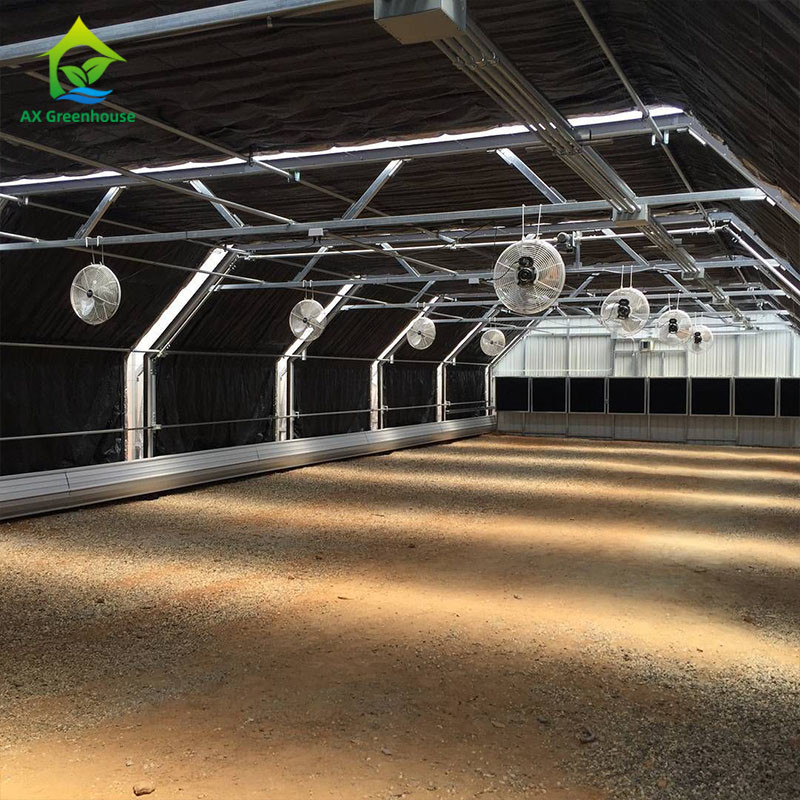 Blackout Mushroom Single-span Tunnel Light Deprivation Greenhouse For Agriculture